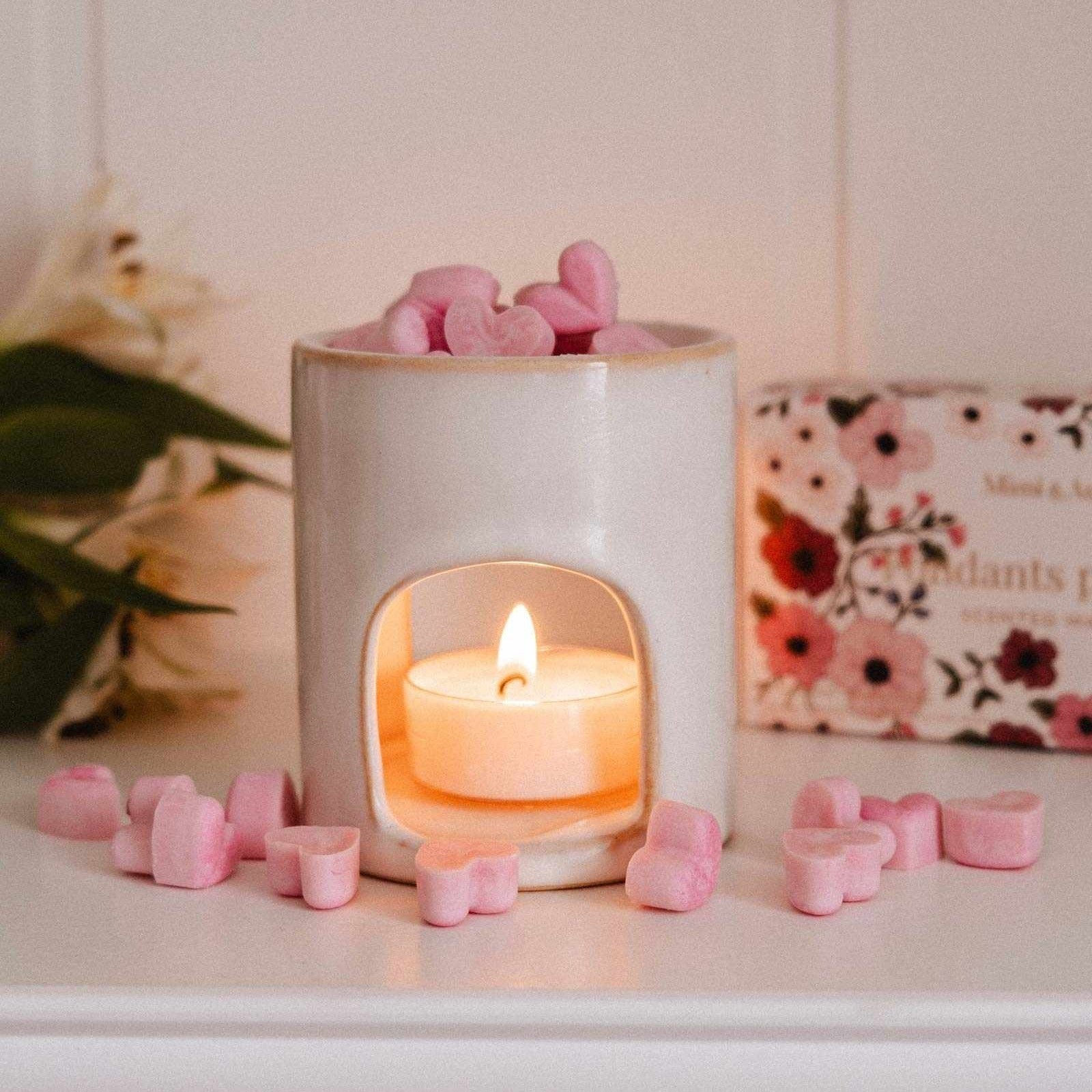 Soy Wax Melts - Amore